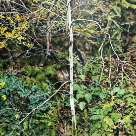 Treescape No 5 120 x 150cm £17500 (0254)