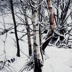 Silver Birches in Winter 5ft x 4ft