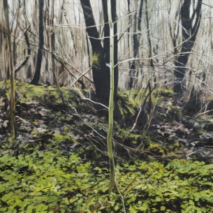 Treescape no4 120cm x 120cm