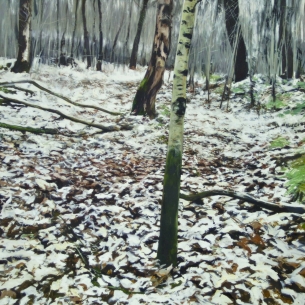 Winter Trees 120cm x 120cm